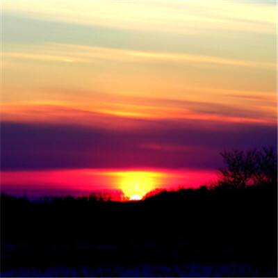 金沙直播app下载